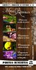 Flyer portes ouvertes 2017